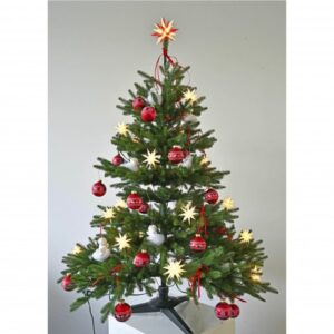 Herrnhuter Stjernekæde med 15 stk 8 cm hvide stjerner