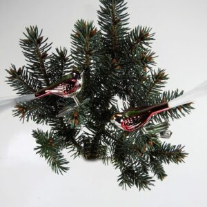 Fugle med clips i rød og grøn