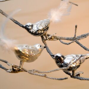 Glasfugle med klemme sølv