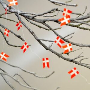 Store split flag på snor 2 a 20 flag